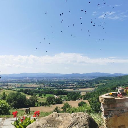 Al Podere Del Nonno Romolo Sansepolcro Zewnętrze zdjęcie