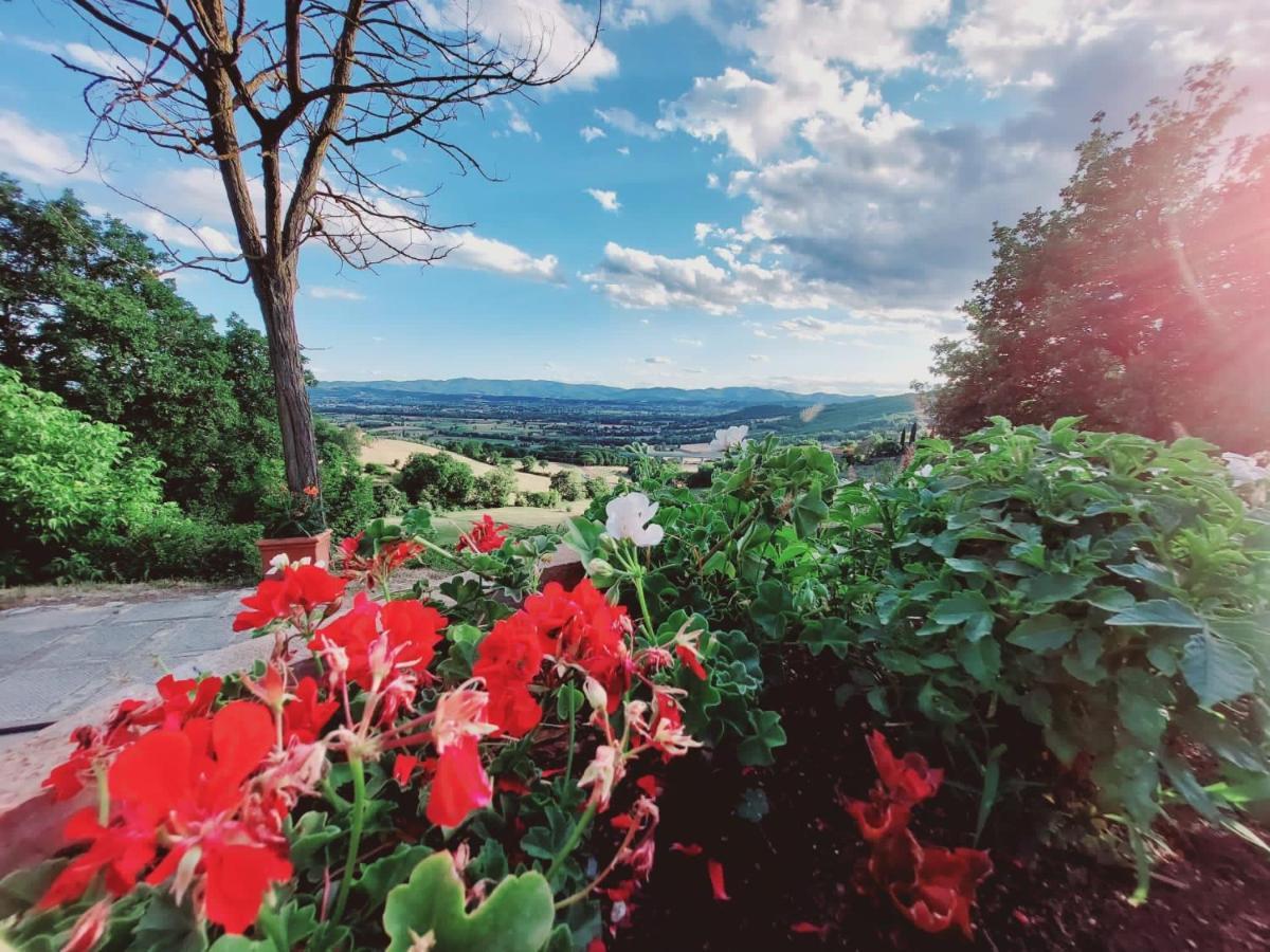 Al Podere Del Nonno Romolo Sansepolcro Zewnętrze zdjęcie