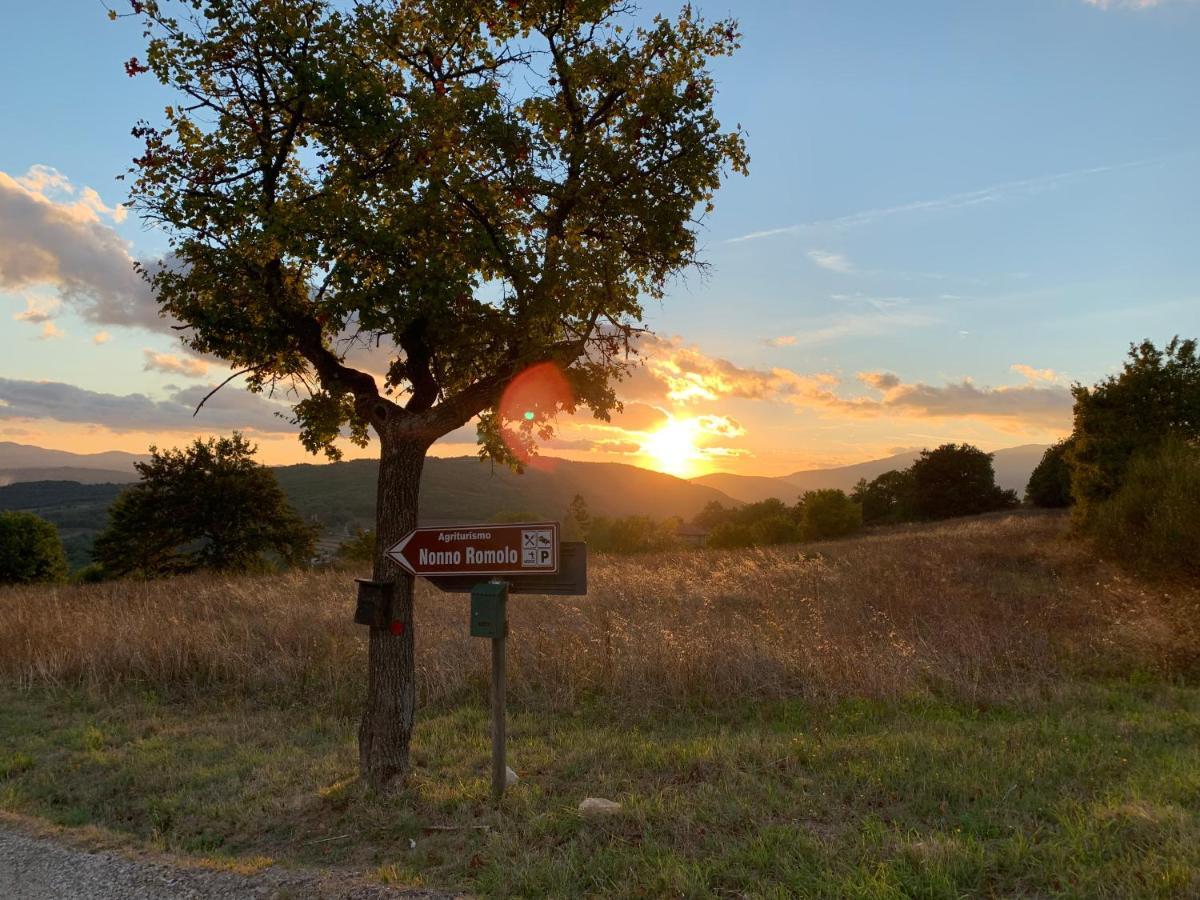 Al Podere Del Nonno Romolo Sansepolcro Zewnętrze zdjęcie